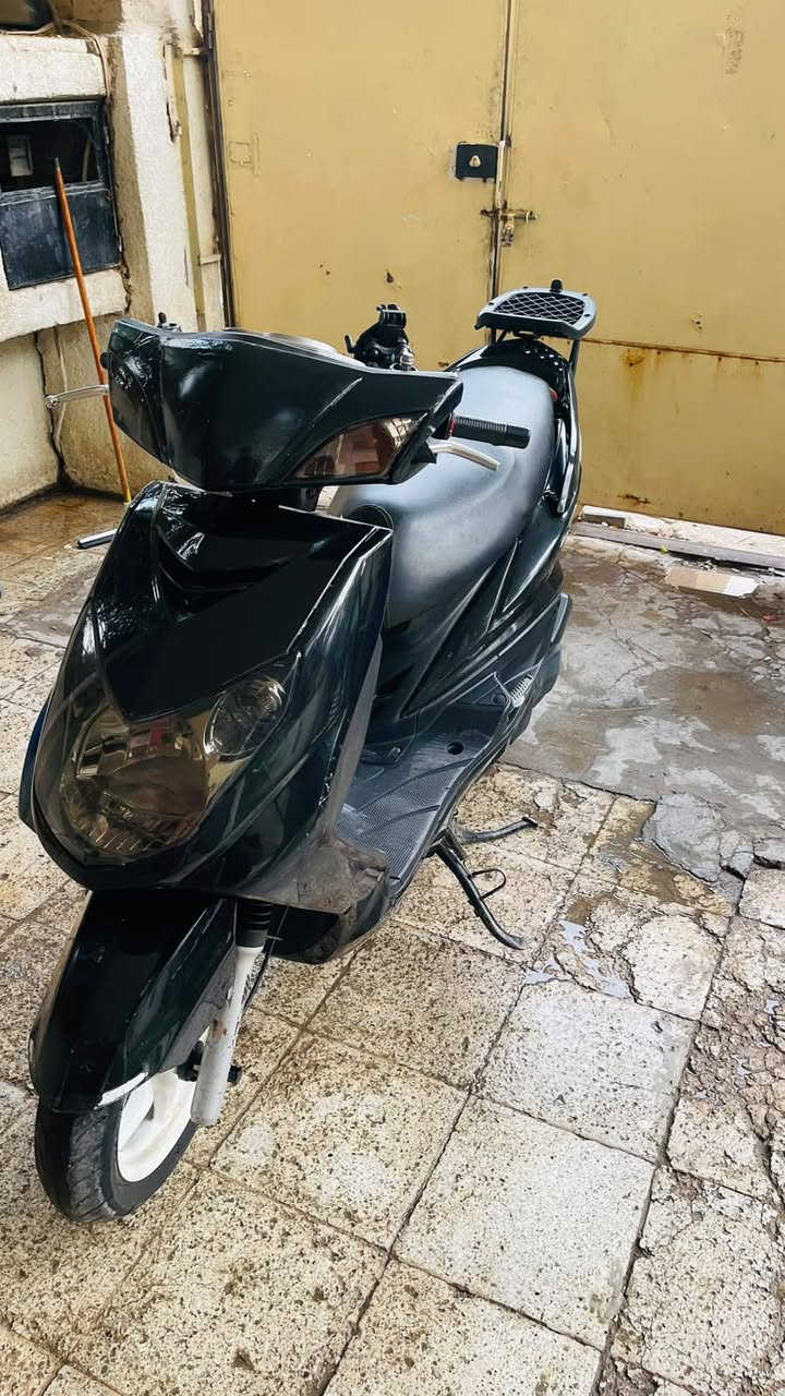سكنس فحل • جديده • الحسينيه