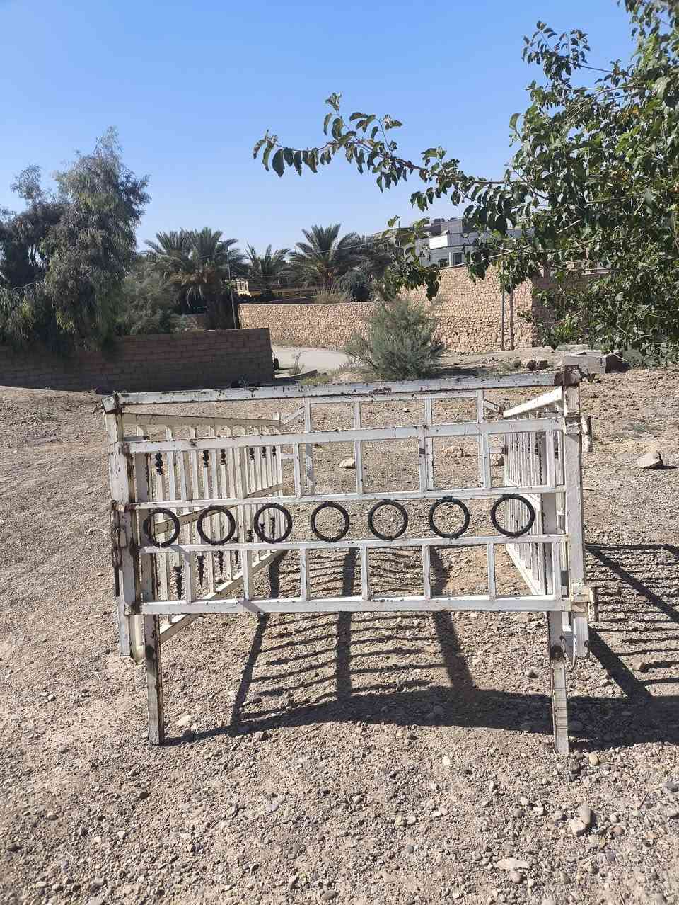 محجل عموشة للبيع 150 
***********

