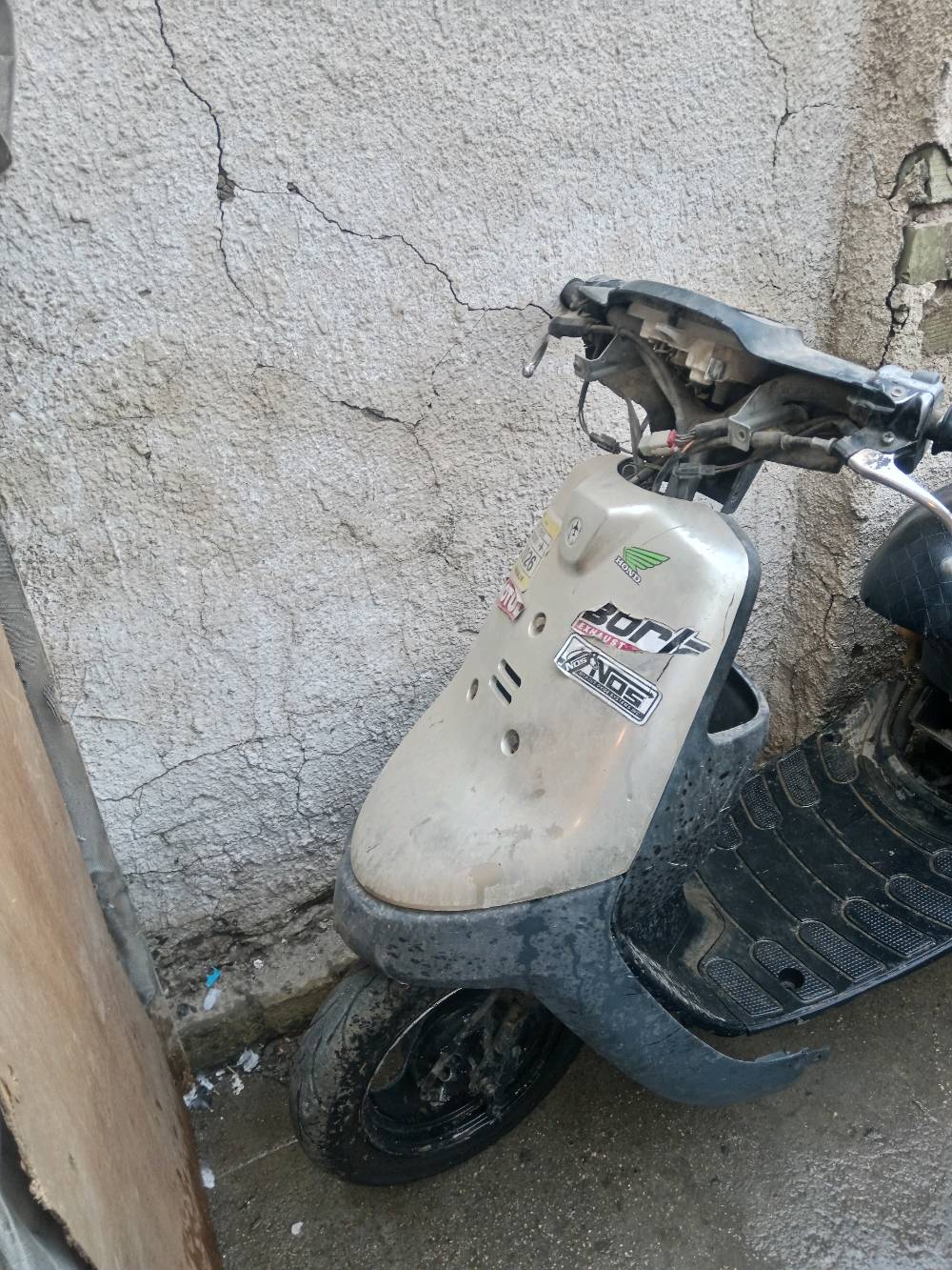 بطة • تنضيف • كابرتر