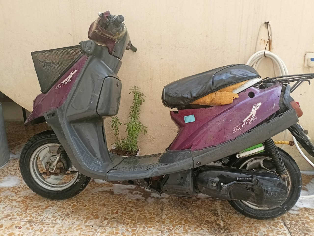 بزون • معمر • تواير جدد