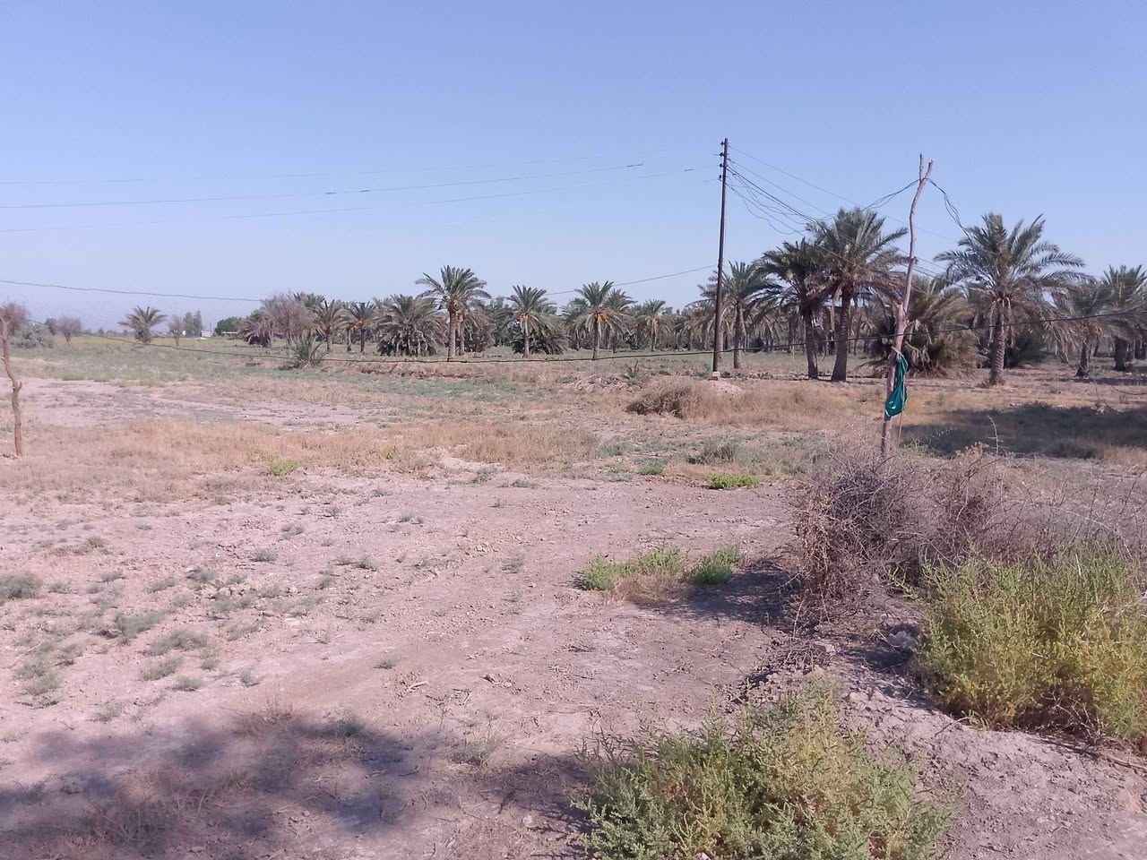 يا الله سلام عليكم
ارض زراعيه مي اساله وكهرباء ومي سكي كله متوفر
١٤ دونم تقع في العزيزيه منطقت عويد العبعوب 
تريده سكن تريده زراعه 
***********
