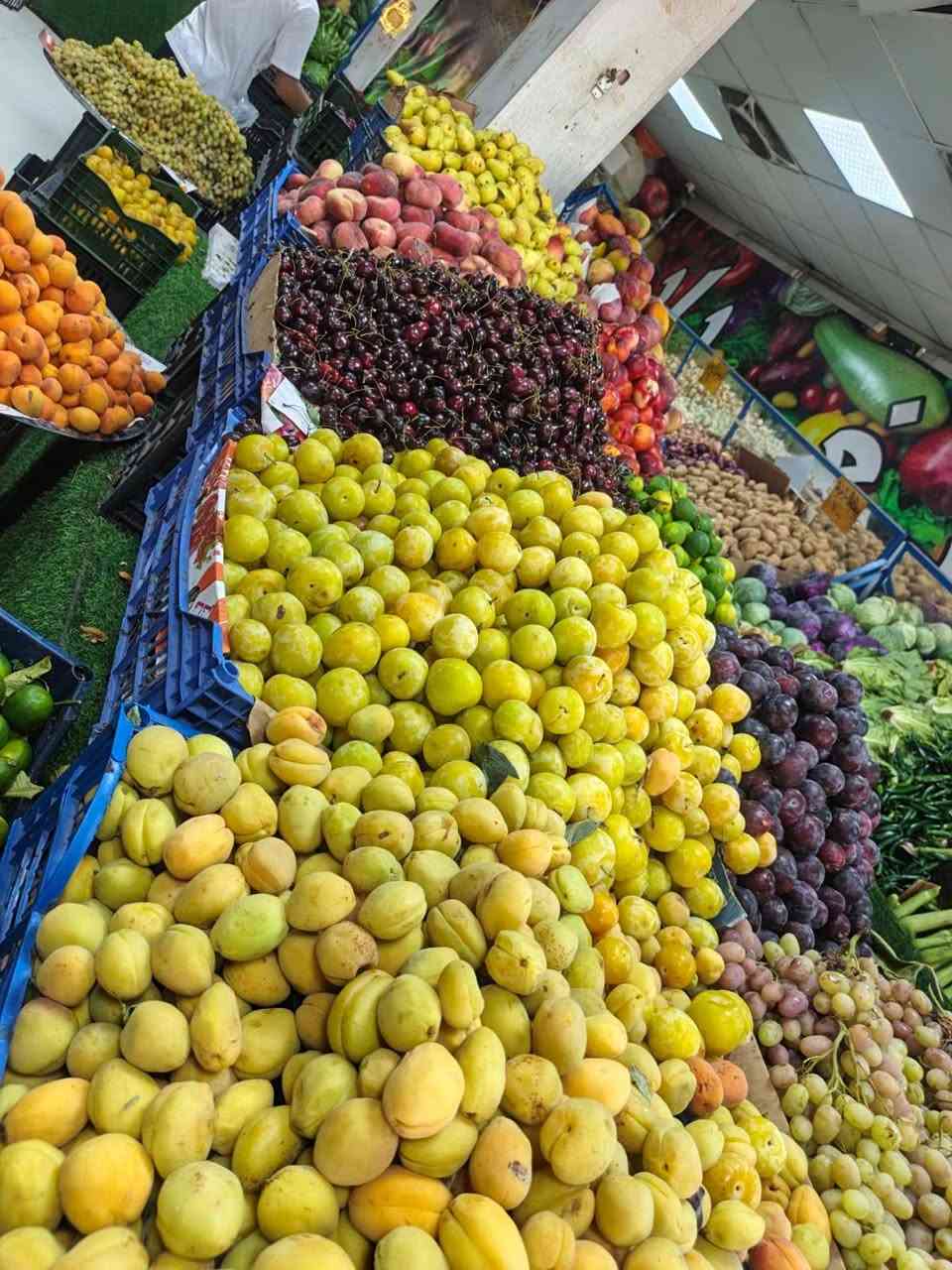 علوه بغداد قرب خان مندي مسوك تازه كله اليوم بيومه توصيل دخل بسمايه حجز *********** حجي عباس
