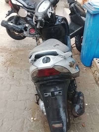 ثعلب • مكفول • نواقص بسيطة