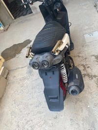 سكنس جبلي للبيع 07783591627