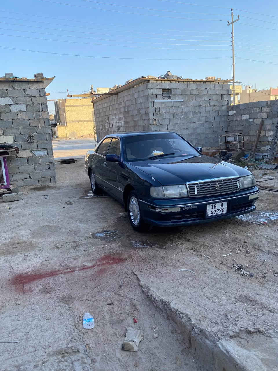 مديل 94 • بطة • مكفولة