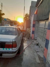 دايو لمس • نمر سنوية • تحتاج ترتيب