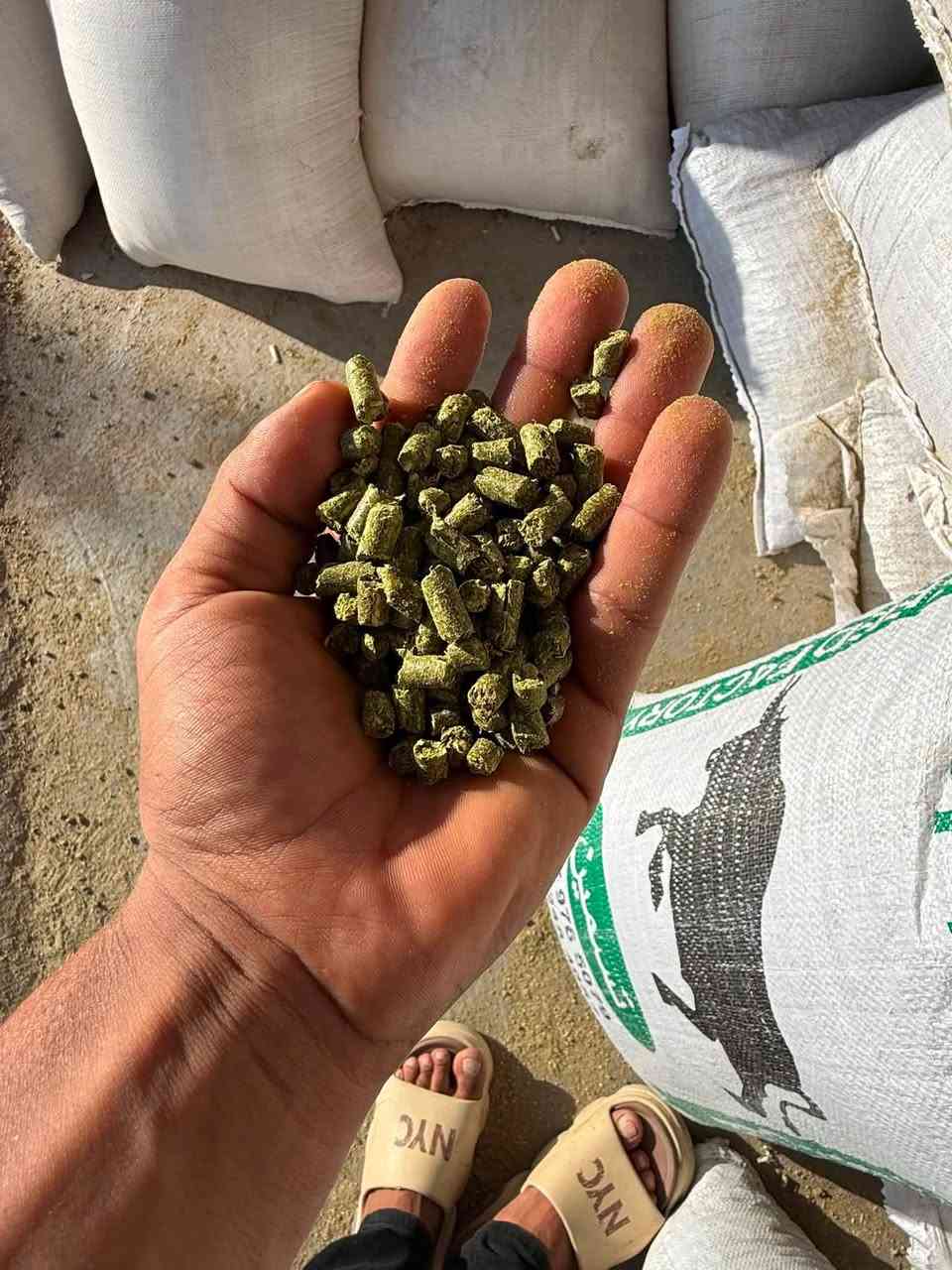 اسلام عليكم يوجد لدينا بروتين تسمين عجول فتره تسمين العجول ٣اشهر فقط بروتين بمواصفات عاليه ولزياده حليب الأبقار البروتين بيه ١٤ ماده المواد مذكوره بل صوره العنوان بغداد التاجي قرب جسر اذراع دجله الرقم***********بيه واتساب مفتوح اربعه وعشرين ساعه و اسيا ***********
