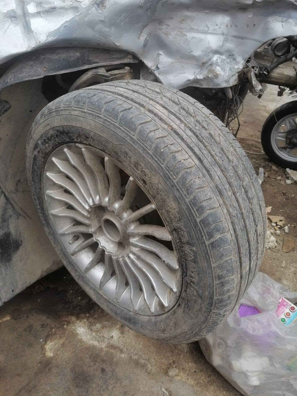 جنوط ١٧ • مع تاير • مكفول