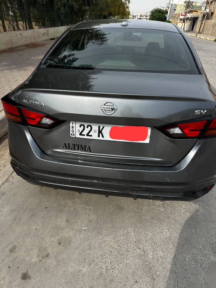 التيما ٢٠٢٢ • بدون صبغ • كركوك