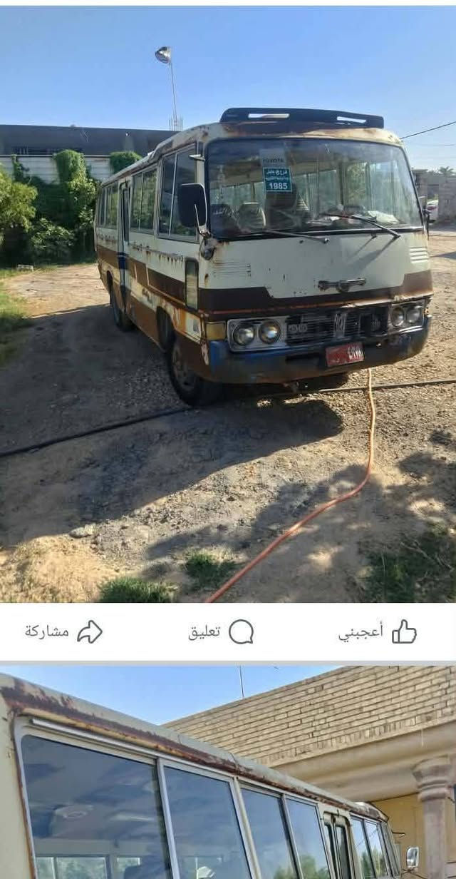 كوستر كصيف موديل 81 مكينه توهه مجفته وكير وكسل خير من الله سياره جاهزة كبل للشارع السعر 3 ملايين وبيهه مجال العنوان طوريج طريق بنات الحسن  رقم الهاتف ***********
