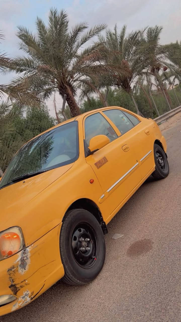 فيرنا ٢٠١٤ • رقم بغداد • تحتاج صبغ