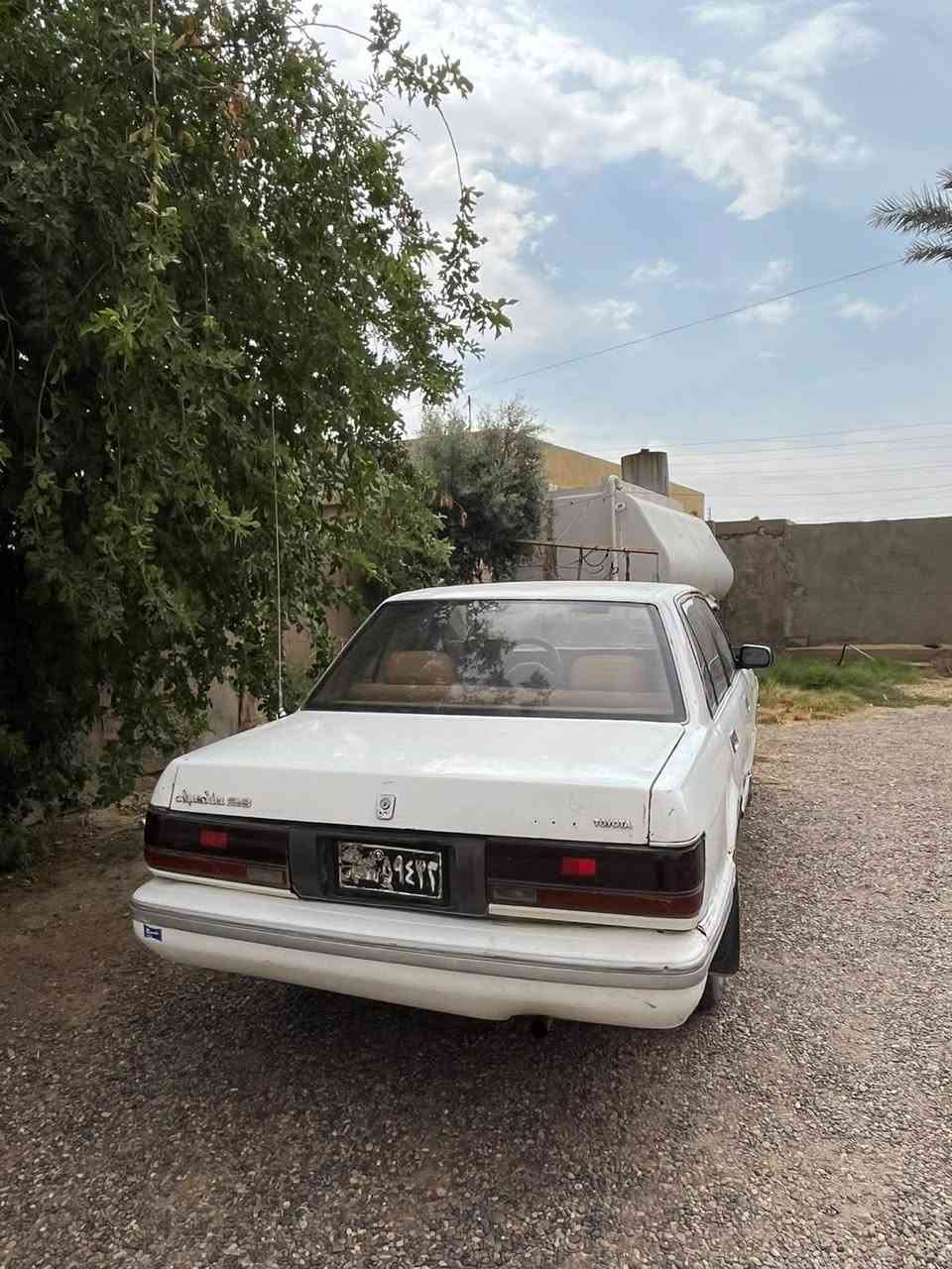 يسار اصلي • ١٩٩١ • مكفوله