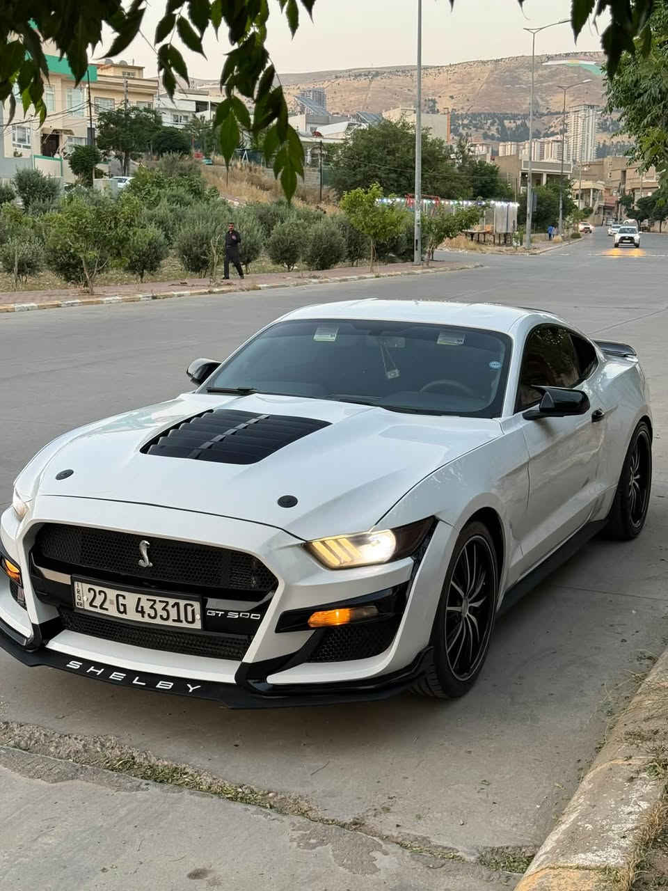 Mustang 2017 eco bust sayaka 125 m roshtwa be aiba zor paka gerw maikna bashara bo zanyariy tell bka ***********
