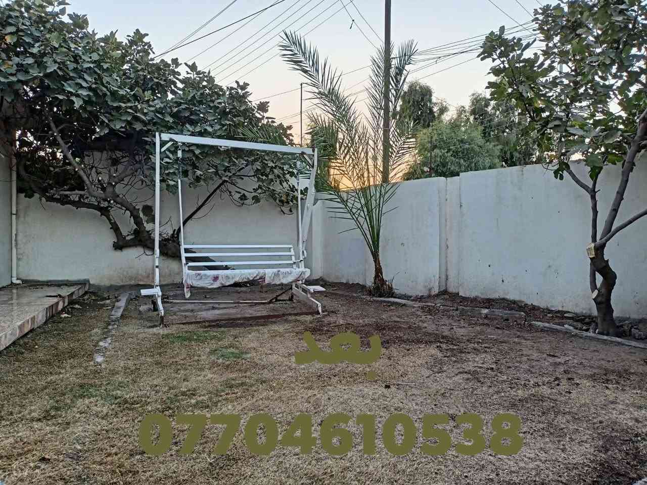 سلام عليكم جاهزين لتنضيف وتقليم جميع انواع الشجار وقص الحداي 💚🌴🌳🍊
اتصل ***********
