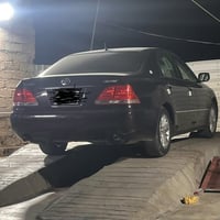 شاهينه كصه جنطه متومه طبق الاصل ارقام انكليزي تبريد ثلج دواخل عسلي لاي...