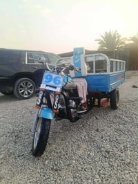 ستوته • كله جديد • گرمة بني سعيد