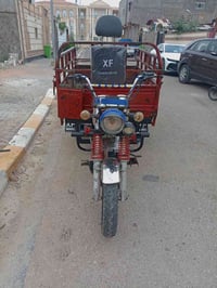 ستوته ام طير • ٢٠٢٠ • مكمركه