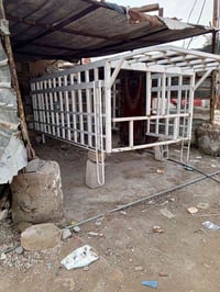 محجر فحل • بغداد • مدينت حريه
