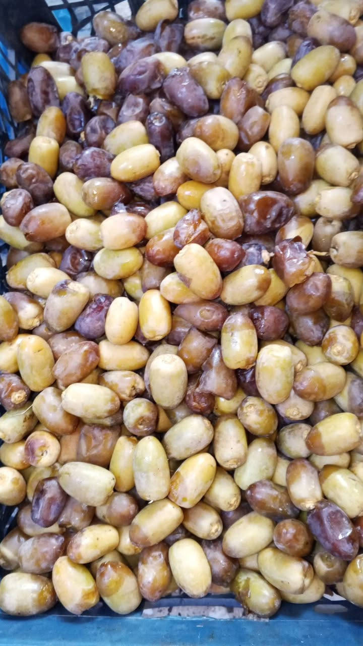 متوفر برحي نص ونص كيلو ب ٣٠٠٠ يخبل
نوعيه ثاني تبرزل لتجميد سعر ١٥٠٠
متوفر خظراوي ب٢٠٠٠
