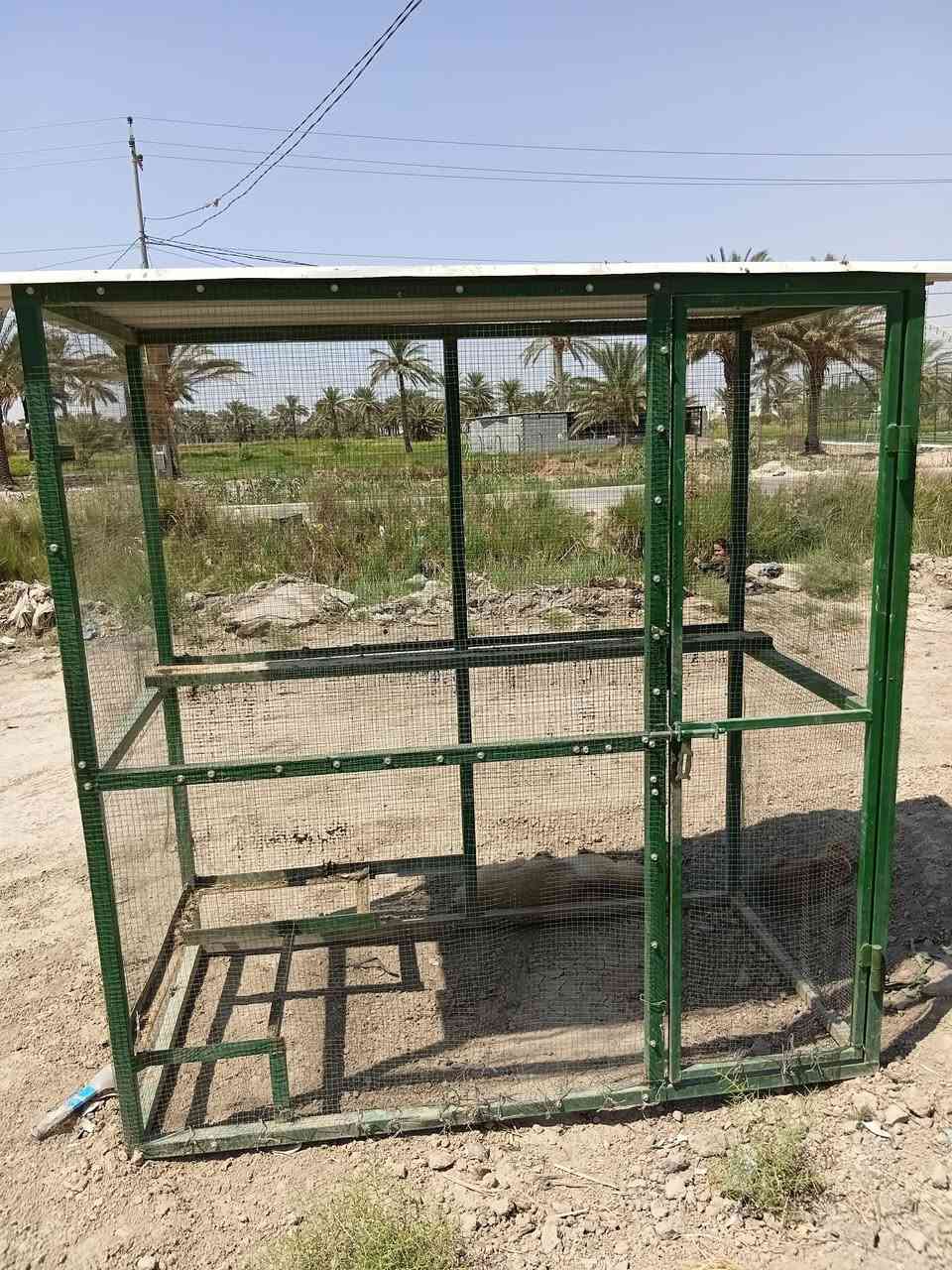 🐦 أقفاص طيور وبلابل حسب الطلب 🐦
إذا تحب توفر لطيورك مكان مريح وآمن وبنفس الوقت شكله حلو، نوفر تصنيع أقفاص حديد قوية ومميزة بتصاميم مختلفة حسب ذوقك.
✔️ هيكل متين وعمر طويل ✔️ إنارة داخلية ✔️ تهوية جيدة للطيور ✔️ سهل الحركة والتنظيف ✔️ ديكورات وأشكال جميلة ✔️ تنفيذ المقاسات والتصاميم حسب الطلب
شغل مرتب وسعر مناسب واهتمام بكل التفاصيل حتى يكون القفص راحة لطيورك ومنظر جميل ببيتك أو حديقتك.
📍 بابل 📞 ***********
راسلنا وخلي فكرتك علينا، وننفذها بالشكل اللي يعجبك.
