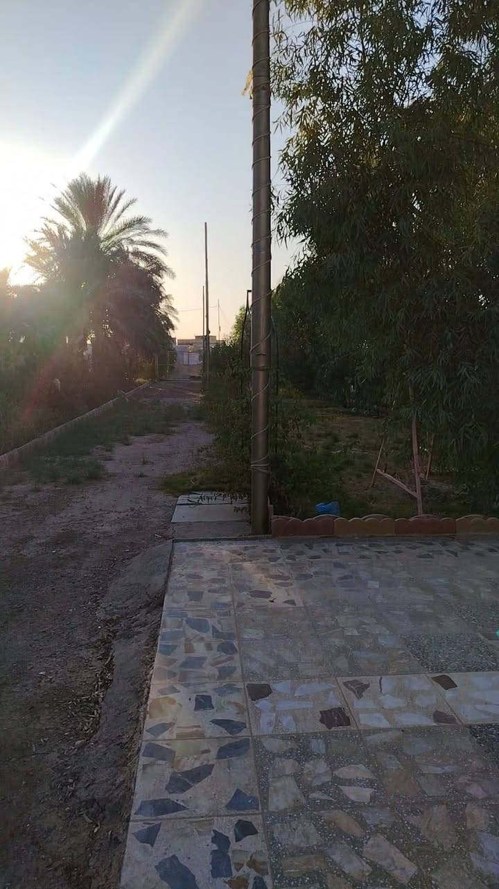 السلام عليكم  بيت لل بيع موقعه جسر الفرنسي 
اكثر من نص دونم ١٥٠٠م قبل جسر الفرنسي على يسار يم ملعب تارتار  مقابل الولدايه البيت بناء جديد كامل من كل النواحي كهرباء ماي البيت  ١٩٠م  السعر ١٥٠ وبيه مجال على شارع العام 
(ملاحظه البيت عادي للمراوس لكن فقط داخل العبيدي) 
 صاحب البيت  الحاج ابو زياد الرديني   
رقم صاحب البيت ***********
