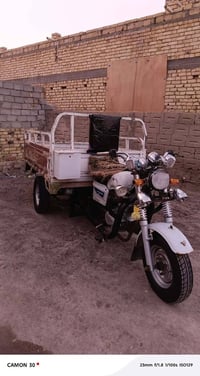 ستوتا • اوراق استنساخ • مديل 13