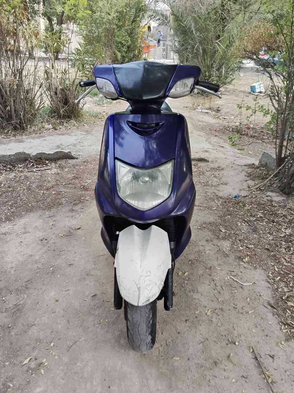 سكنس نثيه • ياباني • ١١٠