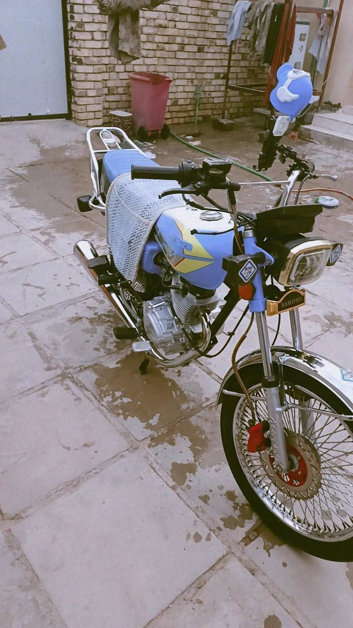 سكنر مدير • ٢٠٢٤ • مجال حك