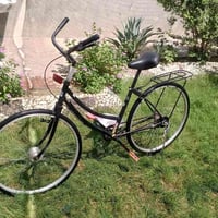 باسكل • مقاس ٢٦ • مصبوغ حراري