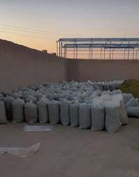 سيلاج • تكييس سيلاج • موجود
