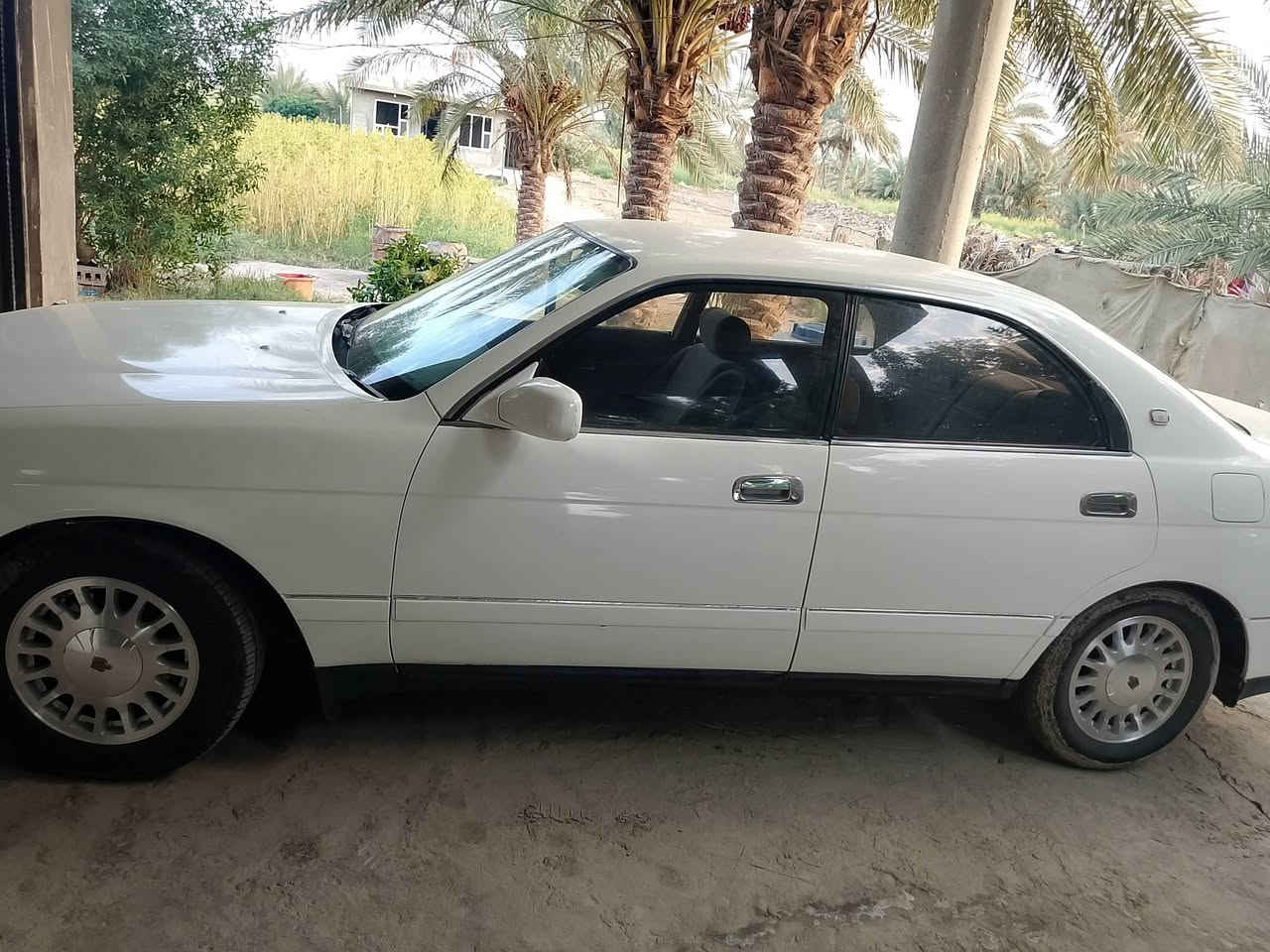 بطة • ١٩٩٣ • رقم بابل