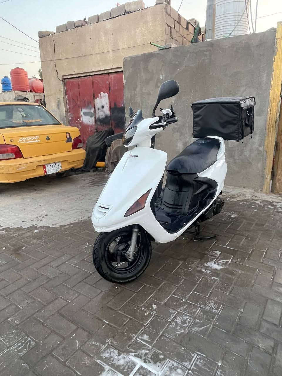 فراشة • فحل • جديدة