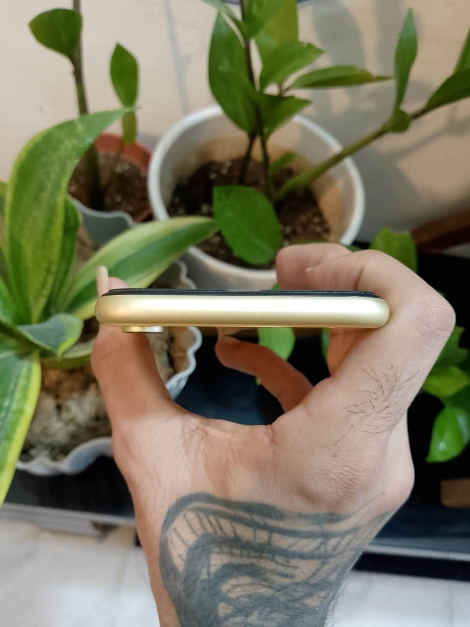 السلام عليكم
ايفونxr

جهاز كله على بلاد

بطاريه🔋78بلاديه

شاشه بلادي

فيس ايدي كامل شغال 

ذاكره128

جهاز اي عيب مابي نضافه90‎%‎

كامرات اي عيب مابيهن سيمكارت شغال تجي تفحص اي عيب بي تاخذ بلاش مكاني كركوك سعر165 الف بي مجال او مراوس ب ايفون11

***********
