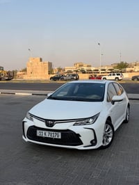 كورلا هايبرد • ٢٠٢٥ • رقم بغداد