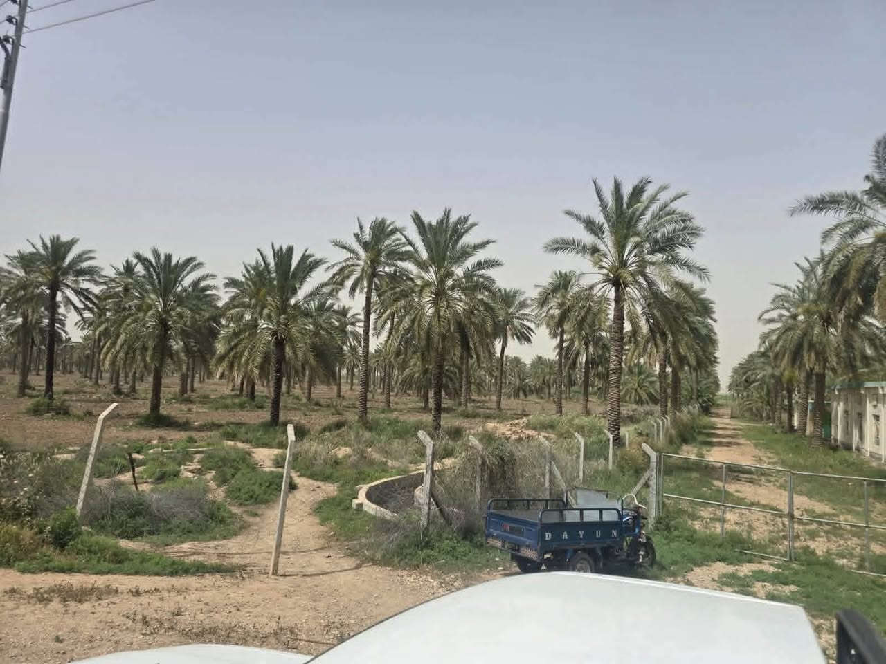 للبيع 1200 دونم بواسط قرب العزيزيه على شارع عام قريبه على العاصمه سند 25 حق تصرف كاع خيالية وتنافس مشروع العتبه الي بلصحراء ع الخدمات الي بيها سعر الدونم 18 مليون + الي يشتريها يكون مستثمر اكيد اذا تحب تفاصيل اكثر وتعمق اكثر راسلني خاص وافهمك اكثر للاستفسار على رقم ***********
