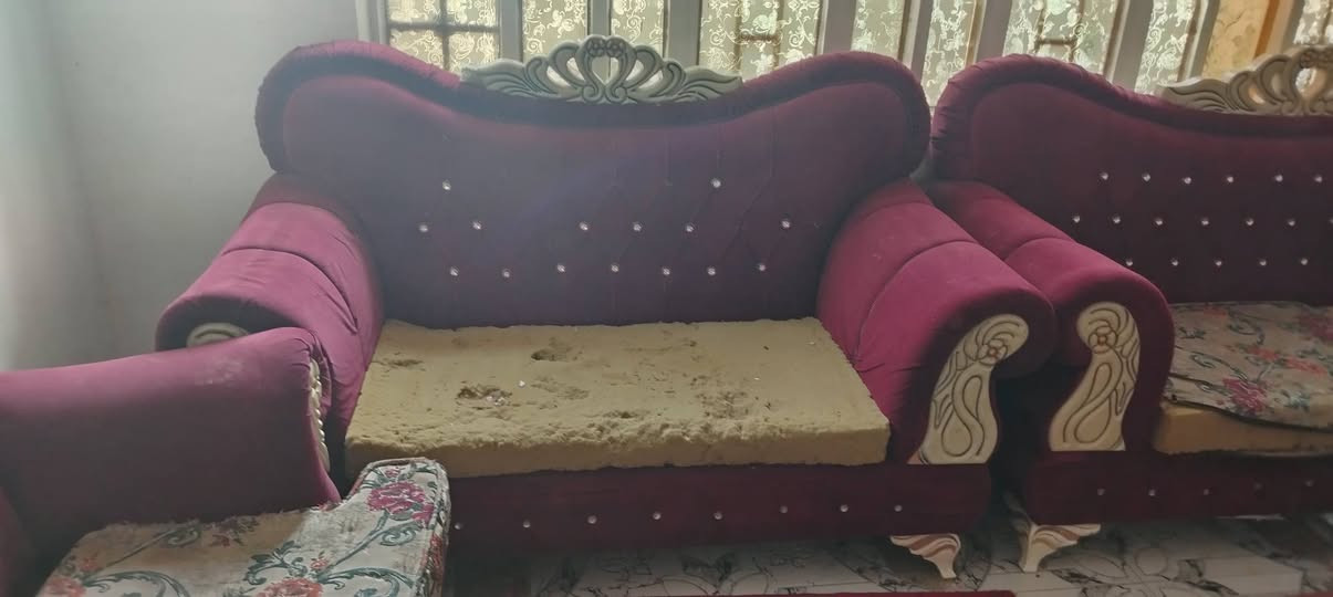 سلام عليكم تخم قنفات البيع 300وبيهن مجال ***********
