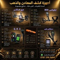كاشف ذهب • جيو هانتر • إكوينوكس 800