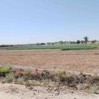 ٦ دونم • نزلة الامام بكر • طابو زراعي سند ٢٥
