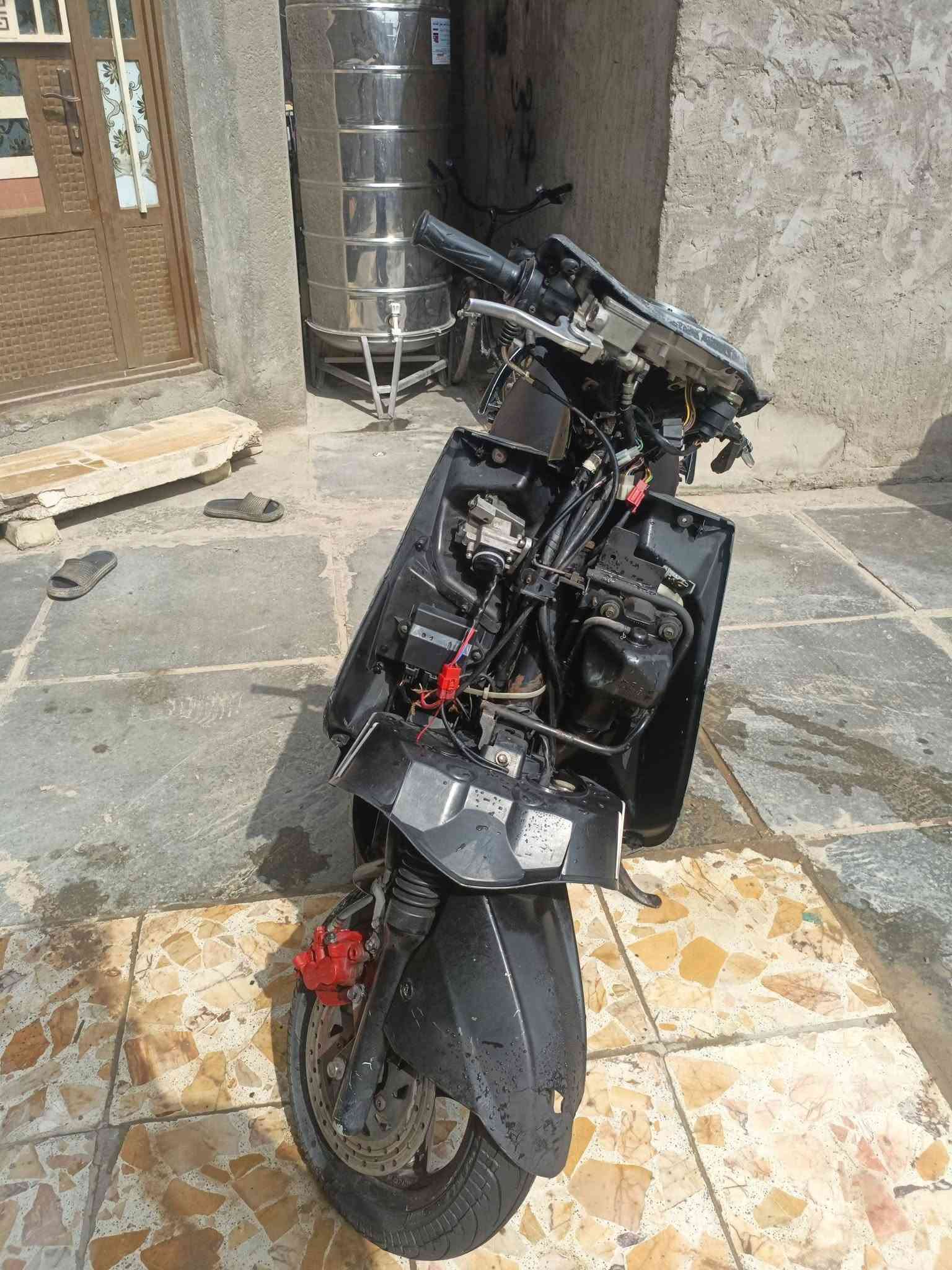 سكنس فحل • نكره • كفرات