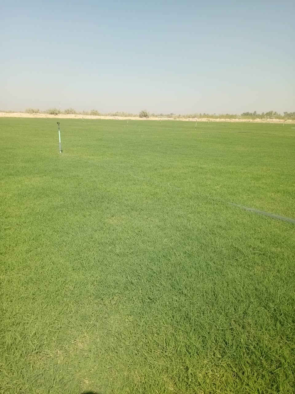 🟢! 🏡
مرحبًا بكم في مزارع الحسن للثيل الطبيعي 🌿🌱
نقدم لكم أجود أنواع الثيل الطبيعي الدائم الخضرة، يتحمّل كل الظروف المناخية 🌞🌧️
✅ عروض مميزة بأسعار تنافسية
✅ تجهيز وفرش الحدائق والمنازل ودوائر الدولة والملاعب والمنتزهات
✅ جودة عالية + خدمة توصيل خلال 24 ساعة 🚛
💸 الأسعار تختلف حسب الكمية

📞 للاستفسار: تواصل معنا عبر الاتصال أو الواتساب من خلال رسائل الصفحة الآن!
***********

#ثيل_ديالى #عروض_الثيل #خدمات_حدائق #مزارع_ديالى

نص مكتوب في الصور:
- هندي ثيل طبيعي بنواعة ٣ أغسطس، الساعة ١٠:٤١ ص
- ٠٤:٢٤ ٢٠٢٦/٠٨/١٤
- E ٤٤,٤ N ٣٥,٠
- أدخل النص
- Infinix HOT 60 Pro+
- ٢٠٢٦/٠٧/٢١
- Diyala Governorate, العراق
- Infinix HOT 60Pro