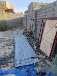 جينكوات • ٨-٩ قطع • ٥م ٣م ٢م