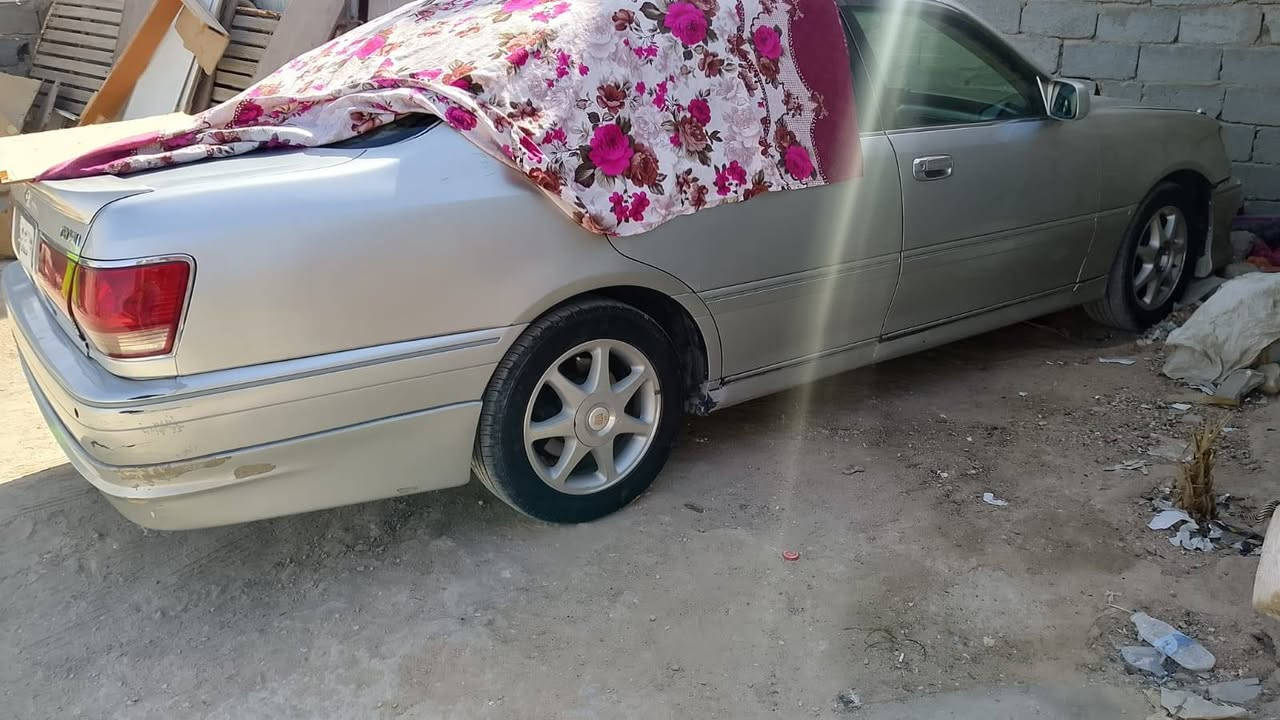 ملكة • للبيع • تواصل