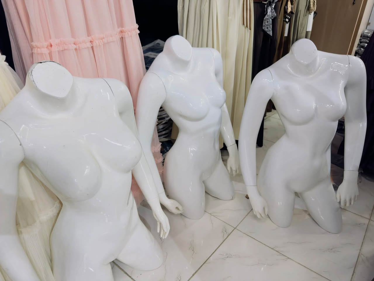 نضافة • فول العدد • عدد ١٢