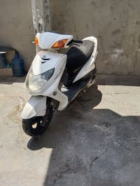 سكنس فحل • ١٤٠ • كبريتر