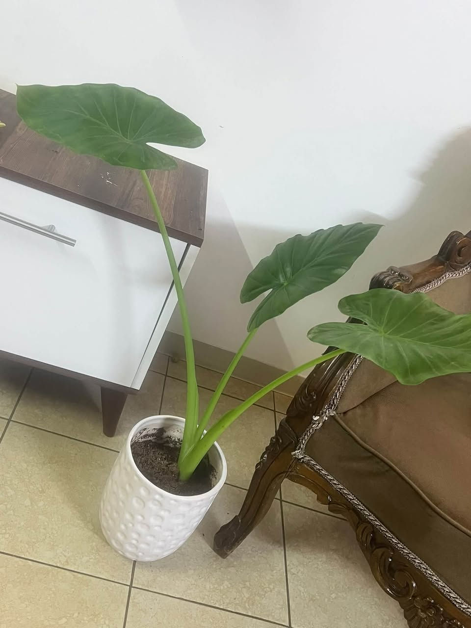 للبيع

نص مكتوب في الصور:
- اليوم
- ١٢:٤٩ م