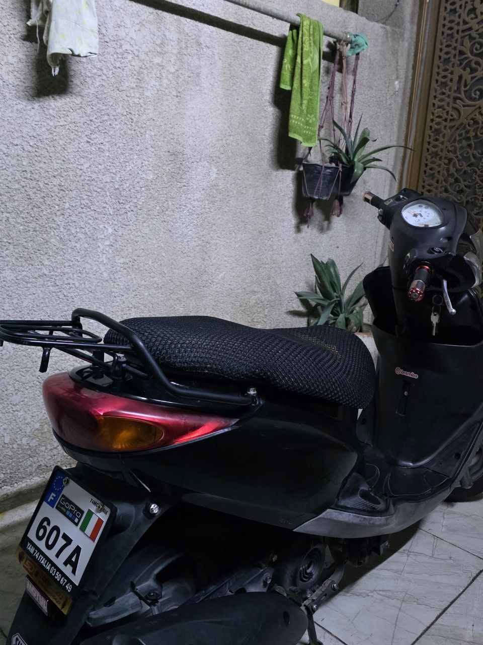 مكفوله • جديده • ٥تشهر