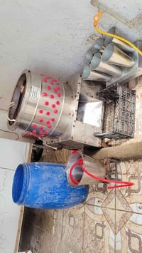 دجاج • استفسار • العمارة ميسان