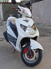سكنس فحل • جديده • نوزل خطين