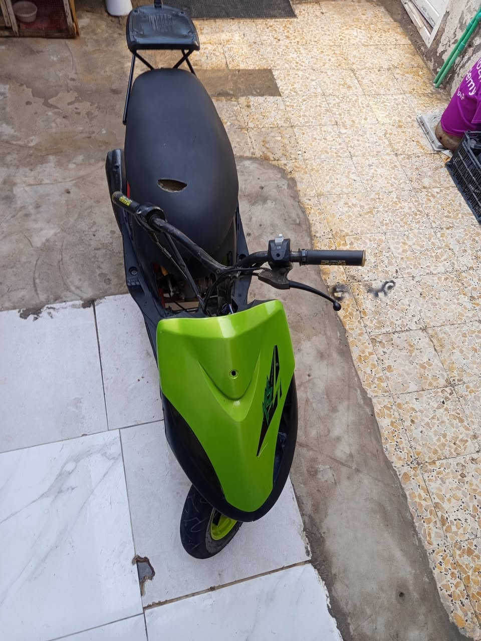 ماكس عدلة