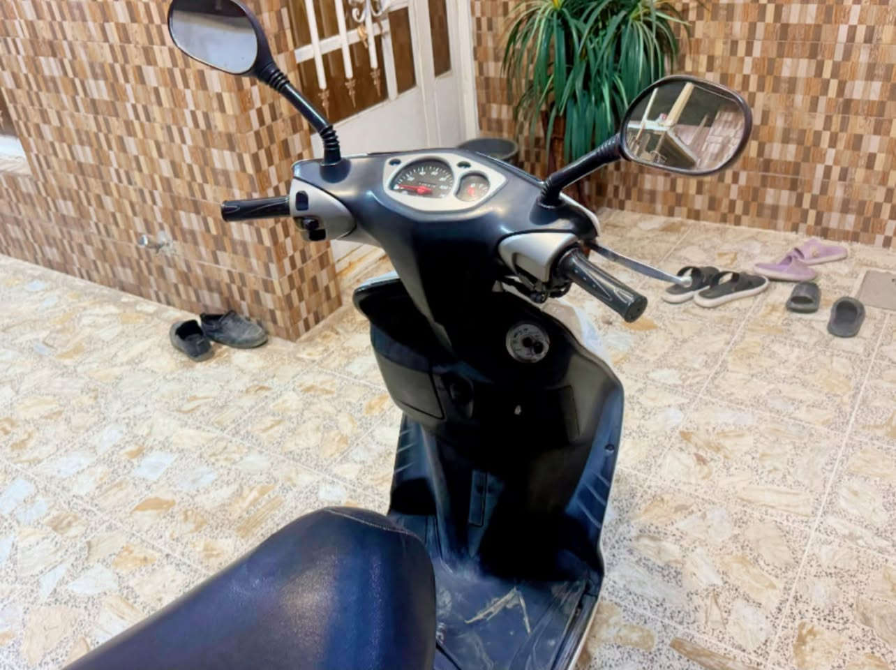 سكنس • ٢٠٠٦ • نضيفه